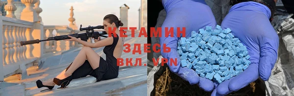 крисы Алзамай